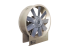 HGT